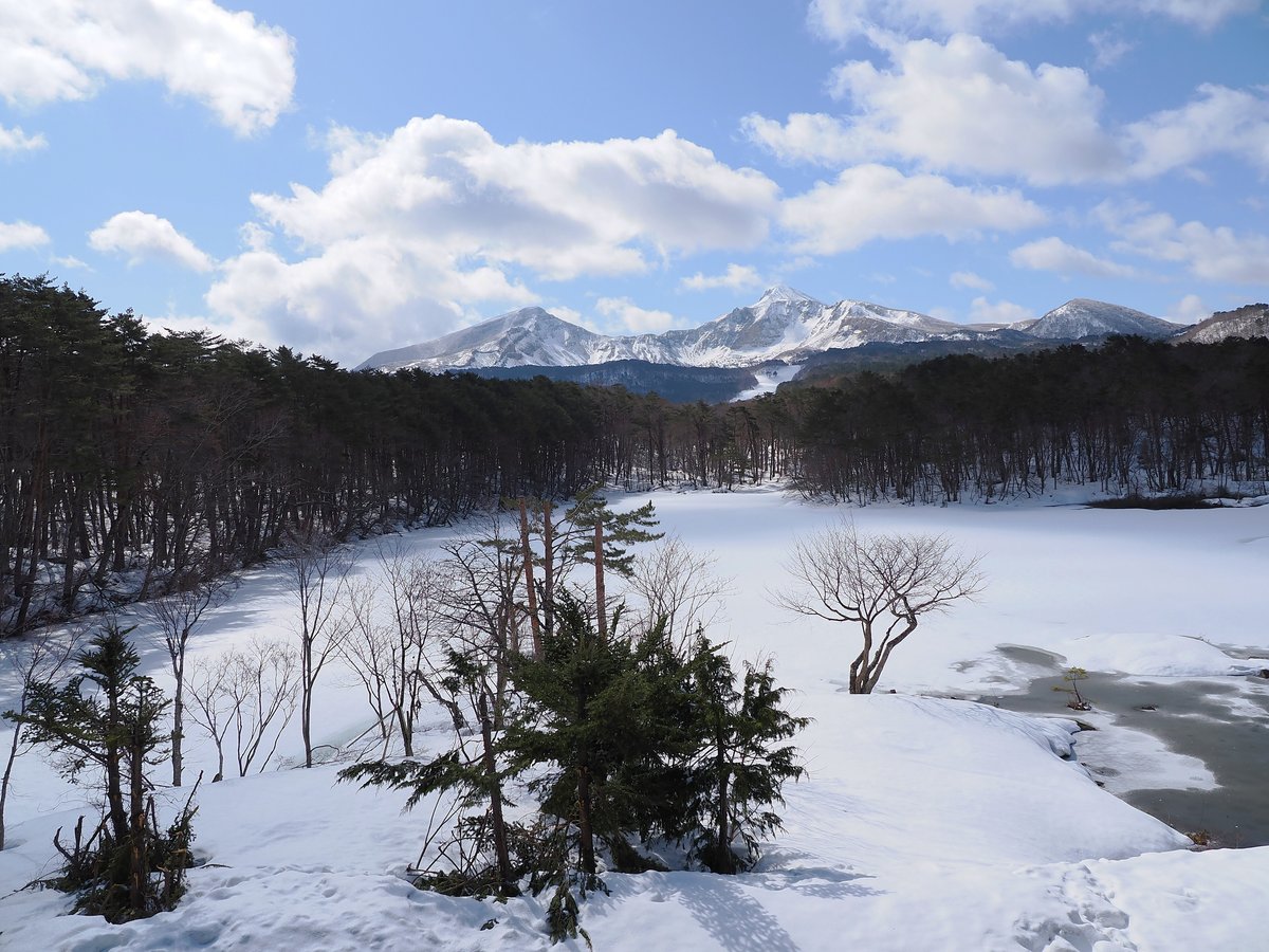 藤田京弥のサイトテクニック！初夏の相模湖を攻略する 『Dz BASS 6』