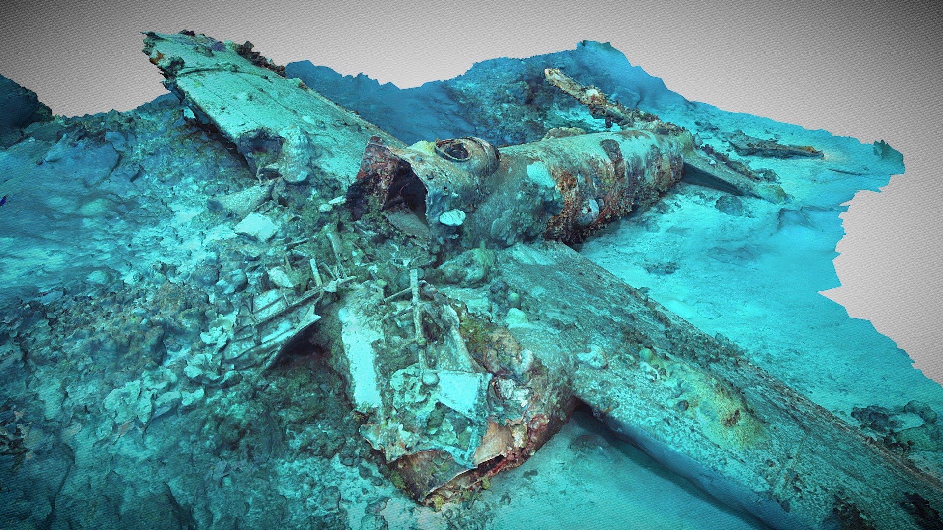 飛行機で“揺れるドレーク海峡”を縦断 夢を実現する南極株式会社グローバル