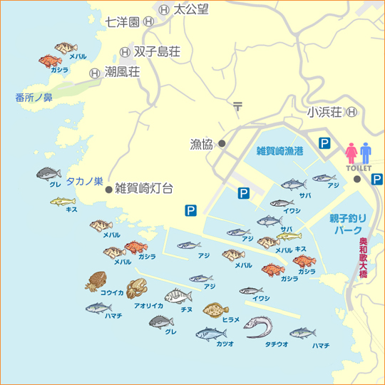 雑賀崎漁港の釣りポイントを写真で紹介。駐車場完備、アオリイカの好ポイント