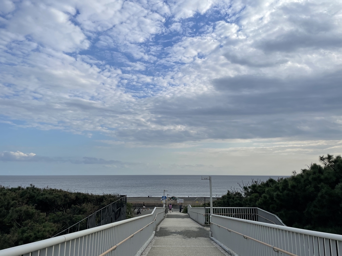 県立辻堂海浜公園観光スポット-辻堂駅周辺藤沢市観光公式ホームページ