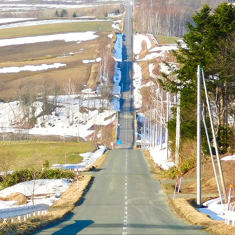📍ジェットコースターの路 ＊高低差の激しい直線道路の奥行きに驚きました🫨 ＊道沿いには白樺や田園が広がり気持ちが良い道🌳＊北海道はでっかいどぉ〜🎶