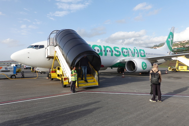 ディスティンクト キャビン レザー