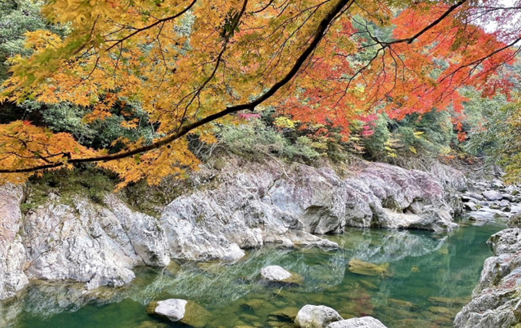 川の事故、「救助行動なし」が半数 ライフジャケットを：朝日新聞