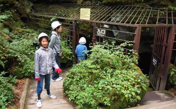 コウモリ穴: MAX CARTER の見聞