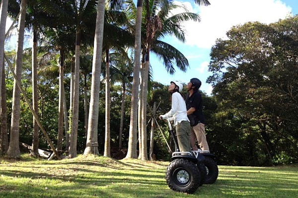 セグウェイツアー in 石垣島 バンナの森沖縄