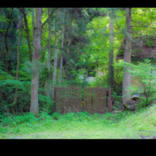 私が実際に訪れた埼玉県の心霊スポット30ヶ所を紹介する