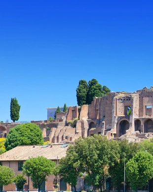 チルコ マッシモ周辺の観光 5選トリップアドバイザー