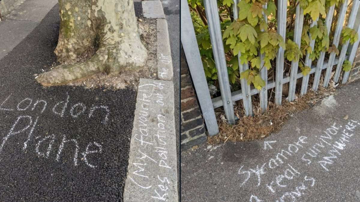 観光モデルコース付き ヨーロッパ都市一覧フラルーガ