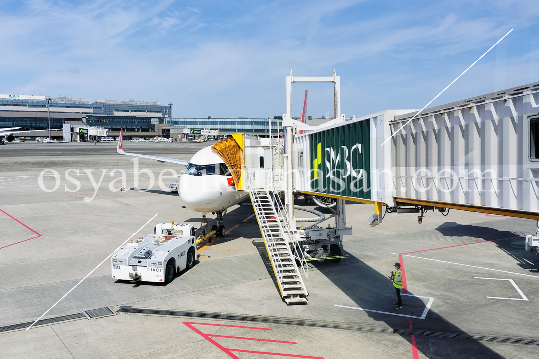 2025.02 6年ぶり2回目のシンガポール満喫旅①』シンガポール シンガポール の旅行記・ブログ by