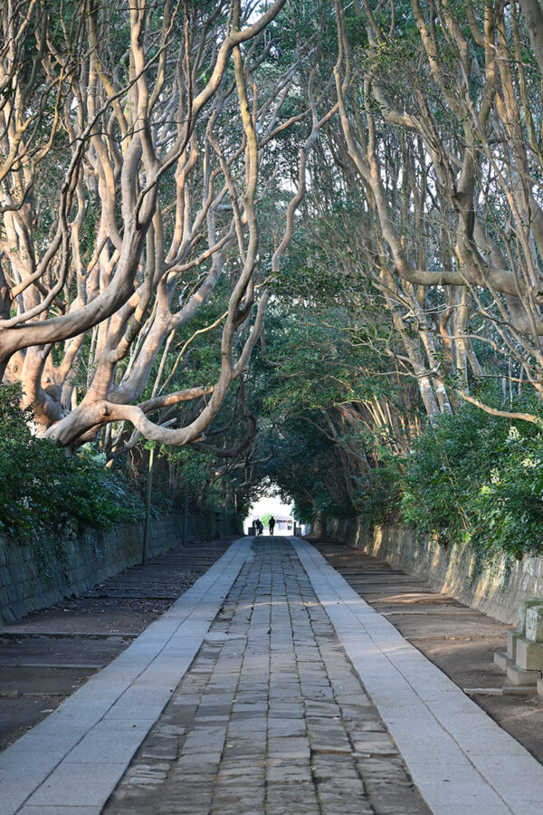 神社探訪記 酒列磯前神社末吉