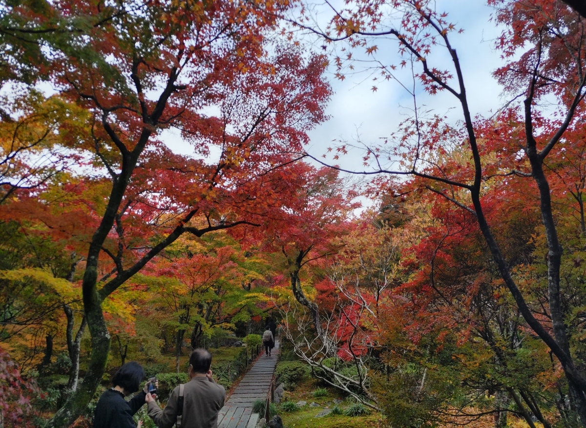 宝筐院の紅葉京都旅屋