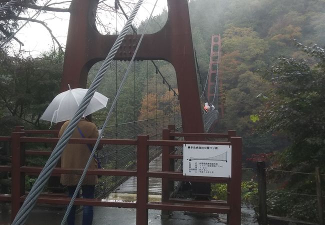 多良峡森林公園 11月 岐阜県大垣市の観光・撮影スポットの名所 - 東海カメラマップ
