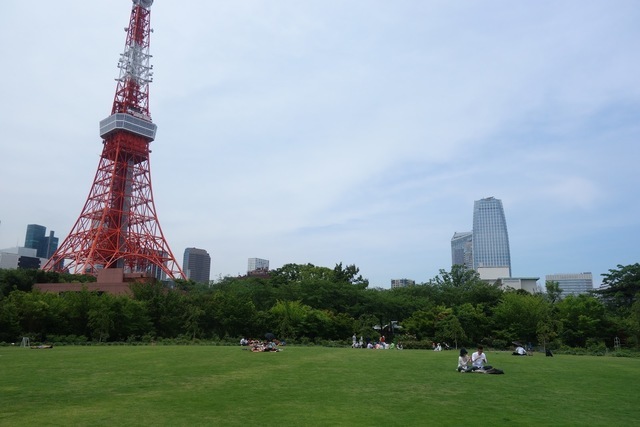 東京タワー×花の競演で、写真映え！開園150周年の芝公園で「花と光のムーブメント 2023秋」が開催中！フォトスポット や古墳、紅葉、桜