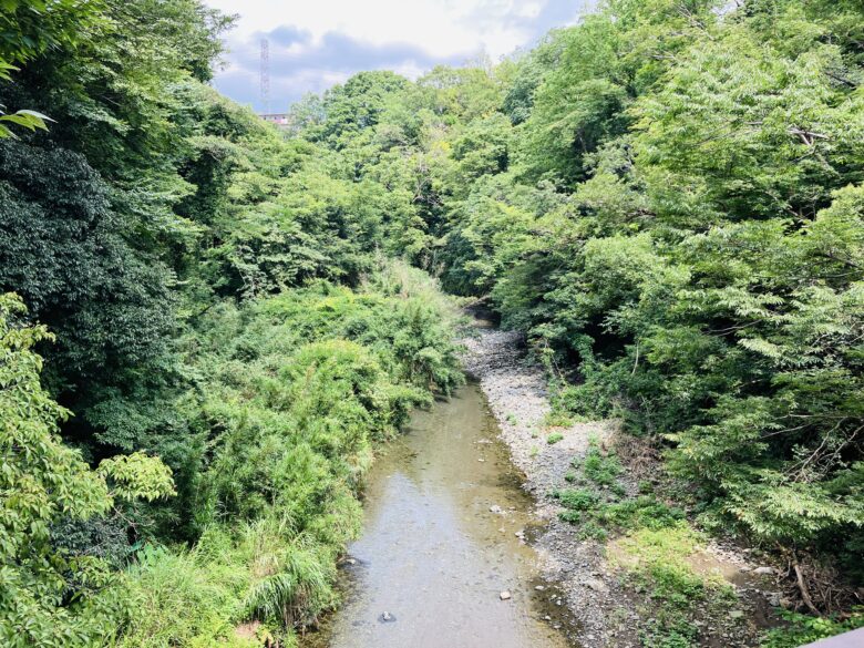 くずはの広場：街中に突然現れるオアシス空間♪川遊び、野鳥や虫、草花の自然観察を手軽に楽しめ、初夏にはホタルも！小さい子も安心の超穴場スポットです 秦野市湘南エリア横浜・湘南で子供と遊ぶ - あそびい横浜・湘南
