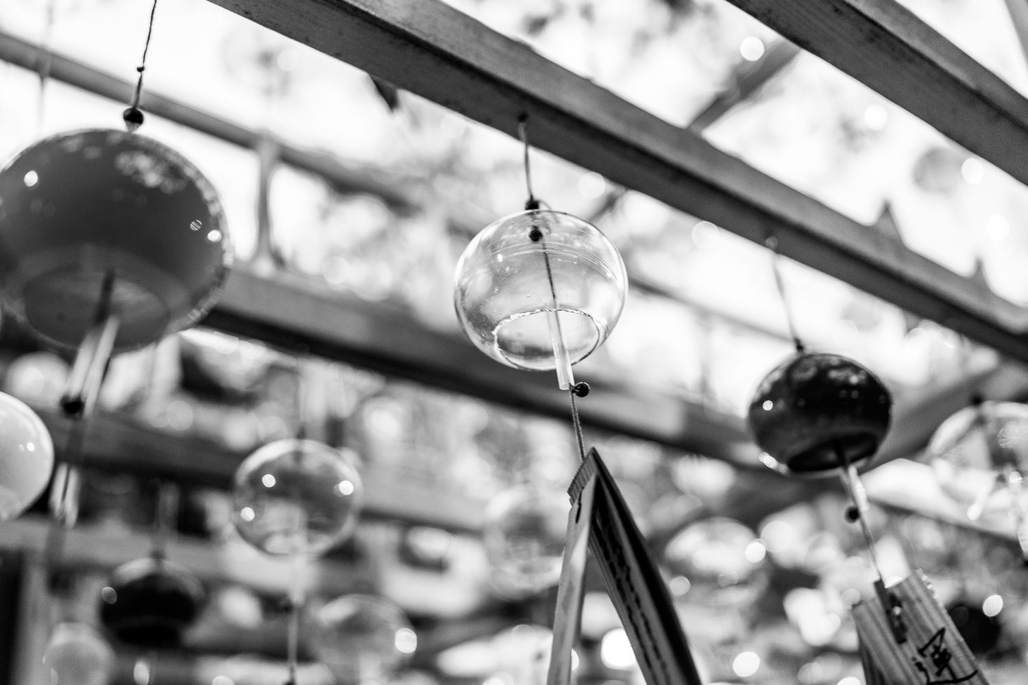 決定版 一度は撮影したい埼玉県の絶景スポット！おすすめTOP10GOOPASS TRAVEL