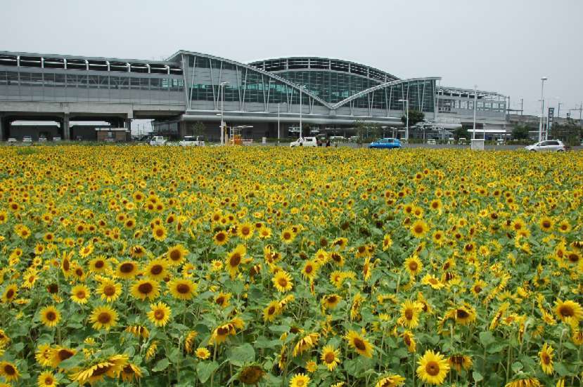 新八代駅西口 写真素材7312141- フォトライブラリ