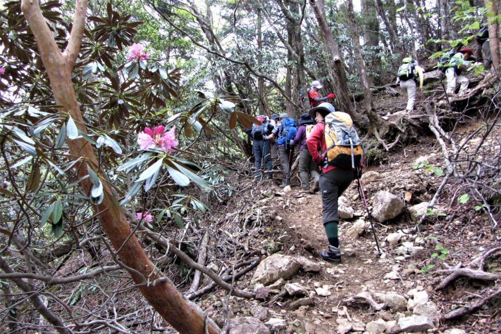 日程調整可能 弥山・八経ヶ岳 – 飛鳥トレッキングガイドサービス