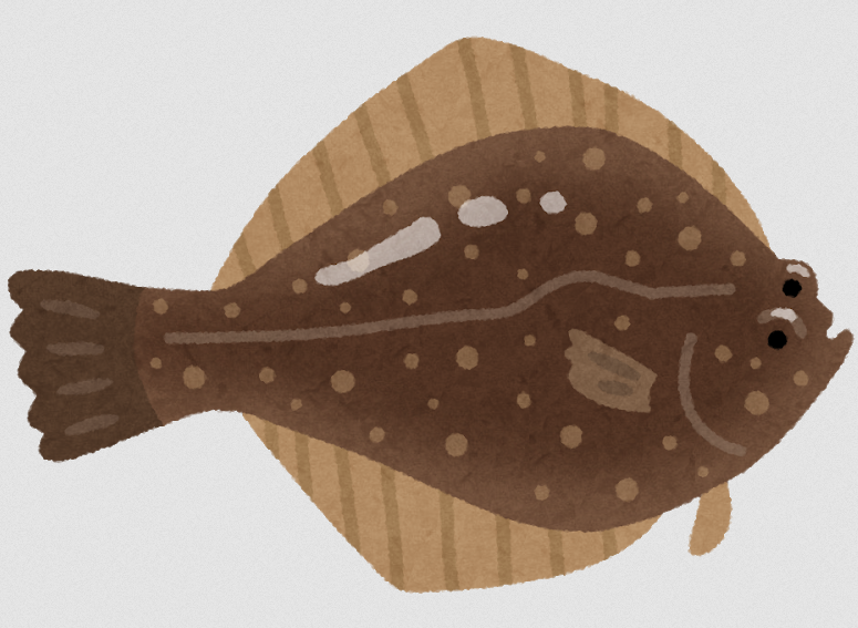 釣り百景241 狙え！夢の座布団カレイ 北海道・函館