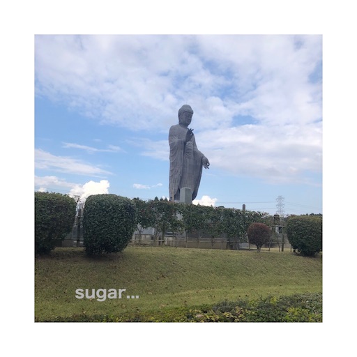 牛久大仏の紫陽花2023が満開・見ごろに！開花状況について 茨城- One Access