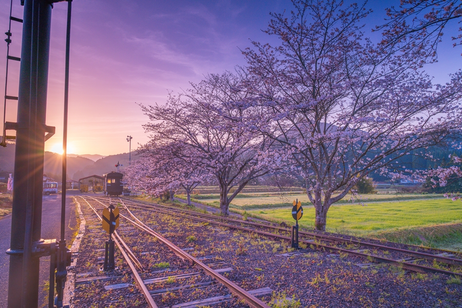 永野鉄道記念館🌸 Nagano Railway Memorial