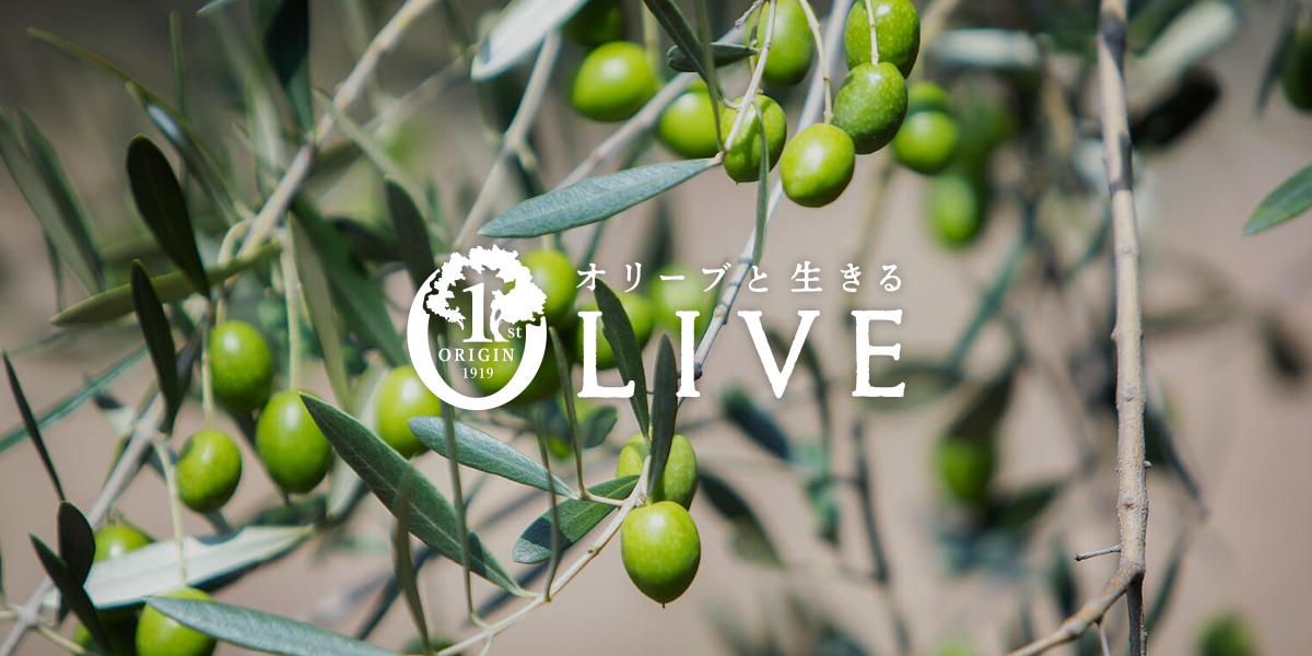 井上誠耕園 オリーブ体験