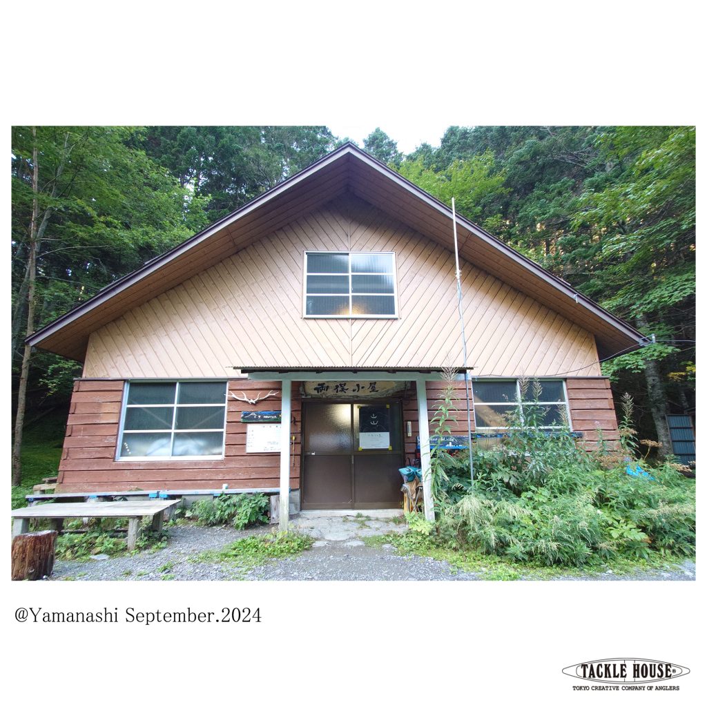 和歌山県 和歌山の釣り船 エサ船・ジギング船 を元釣具屋が紹介しますTSURI