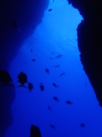 太咲丸・回航 八丈島→孀婦岩編八丈島のたくさんの漁船も出るほど、海は穏やかに。 そんなクリスマスの朝、八丈島・神湊漁港を出航。小笠原諸島、父島を目指す！