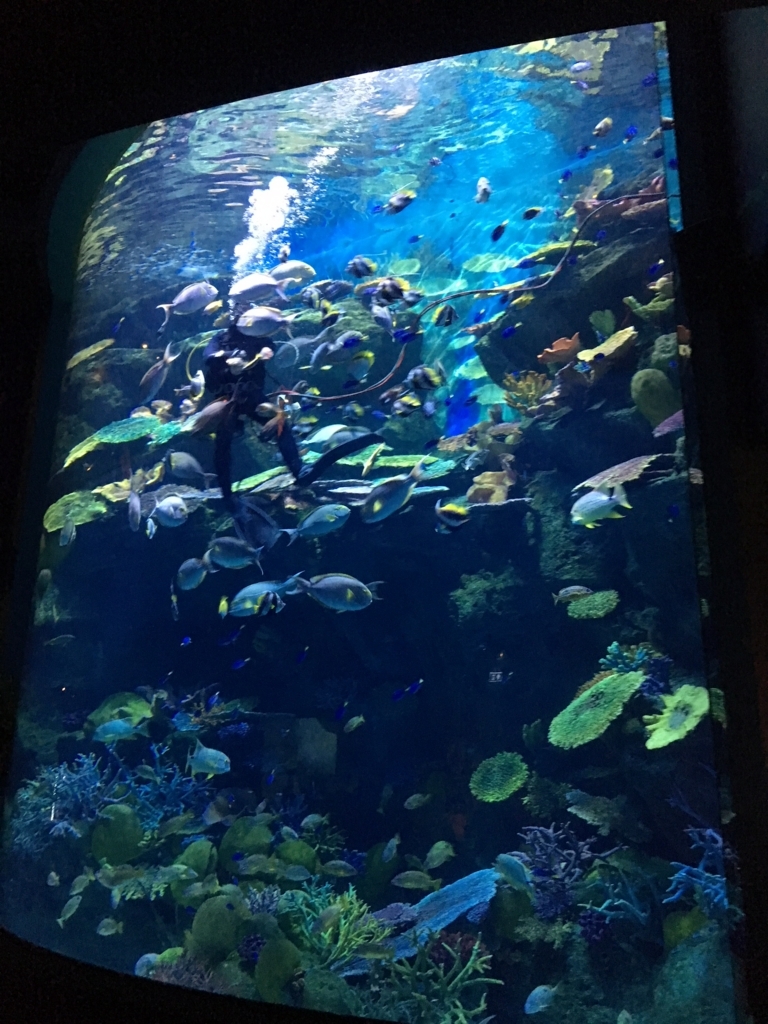 Sea Life Bangkokシーライフバンコクバンコクの水族館に行ってみた！－働く駐妻 in