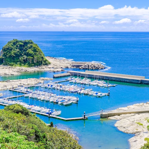 グルメ・観光 次郎と行く春の三浦半島 –