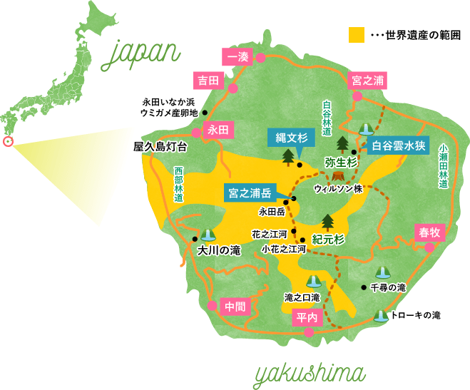 世界自然遺産に登録された、幻想的な島 屋久島 九州への旅行や観光情報は九州旅ネット