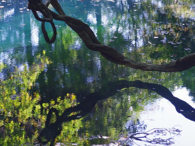 丸池様 まるいけさま- 見どころ、アクセス &