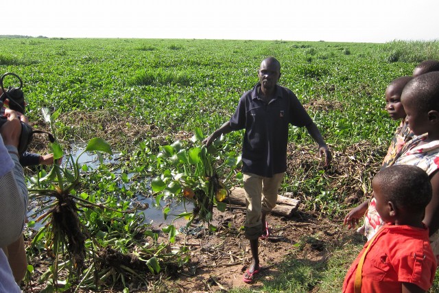 プランテーション」とは？現地の安価な労働力を利用した大規模農園を元予備校講師がわかりやすく解説 - Rinto