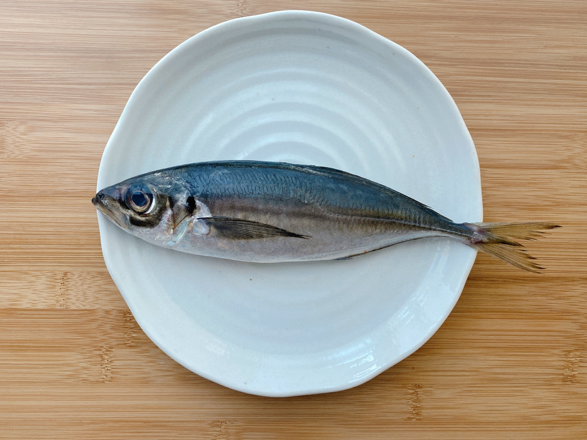 釣り鯵を大量に早く捌く 下処理保存用
