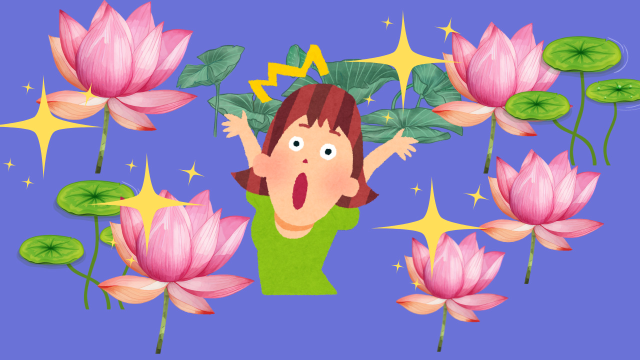 伊豆沼・内沼はすまつり」 登米市・栗原市ラムサール条約に登録されている貴重な自然資源の宝庫「伊豆沼・内沼」。 沼面積は491ha