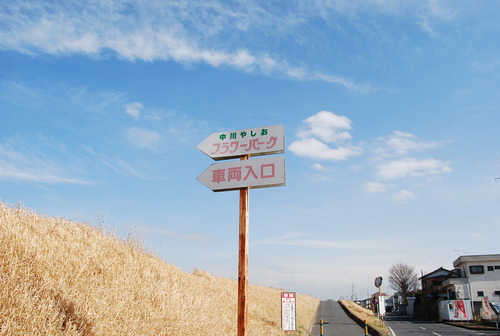 2025年 中川やしおフラワーパーク - 出発前に知っておくべきことすべて