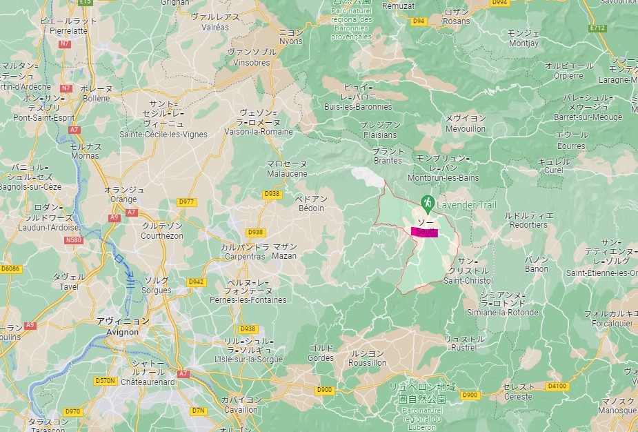 南フランスのミモザOthersライフウェアラウンジ生活の木ライブラリー生活の木：ハーブやアロマなど自然の恵みを活かし、ウェルネス＆ウェルビーイングなライフスタイルをお届け