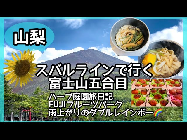 富士登山のアクセス情報マイカー規制とシャトルバス - フジヤマNAVI