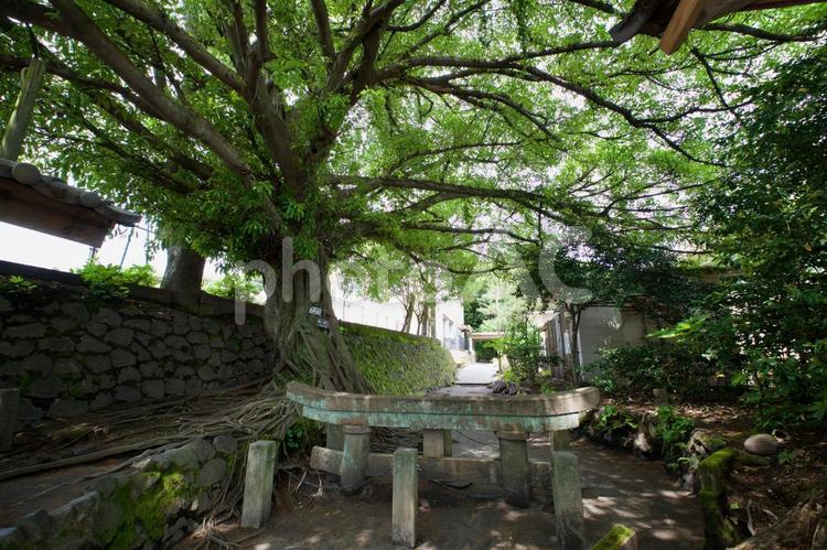 黒神埋没鳥居 - nomu3