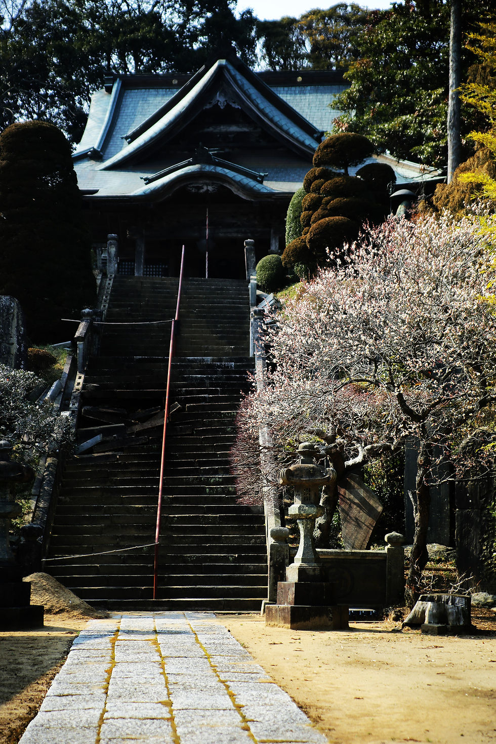 近くても遠い千葉の旅1 4 関東厄除け三大師に挙げられる佐原の観福寺を参拝しました』香取・佐原 千葉県 の旅行記・ブログ