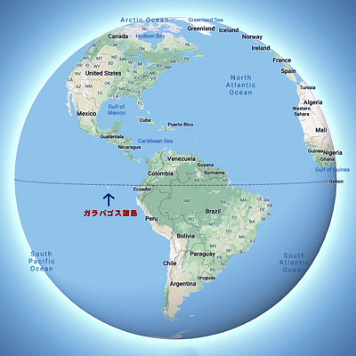 ガラパゴス諸島のサボテン ぱんさのサボテンランド