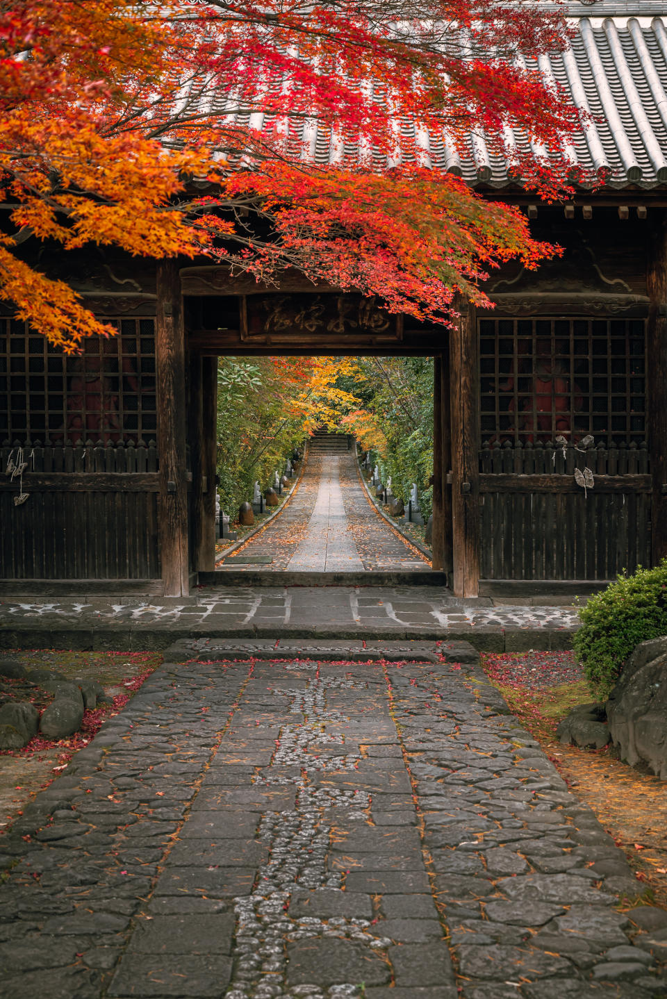 2025年最新 現地スタッフ厳選！宮城・松島のおすすめ観光スポット25選楽天トラベル