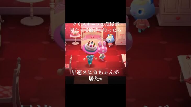 あつ森 カットリーヌ 髪型 教えてくれないTikTok