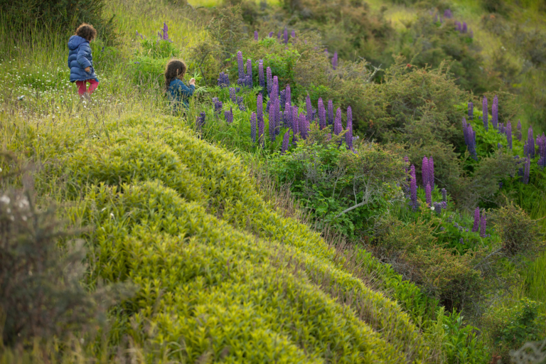 宇宙施設の墓場「ポイント・ネモ」付近を飛ぶ飛行機はあるのか？: 家が建つまでの記録を残したくなった ～家が建ったので時々日記～