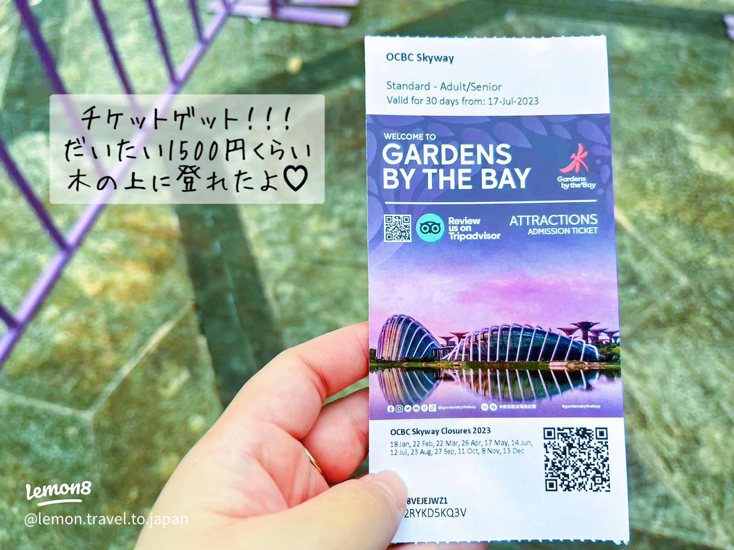 シンガポール の ガーデンズ・バイ・ザ・ベイ