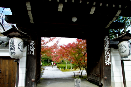 将軍塚青龍殿 ～京都一望の展望スポット～観光FunJapo京都観光・グルメ・イベントなどのおすすめ情報