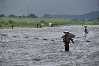那珂川の鮎釣りポイント②