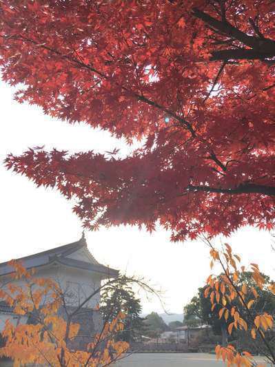 箱根 箱根のぶらんこ箱根の映えスポット🙌 箱根のぶらんこ✨ ここは大観山展望台というところにあります😊ツーリングやドライブする方の休憩スポットになっているので、バイクや車はたくさんありましたが、朝早く行くとブランコは誰もいませんでした😁 ここ数年