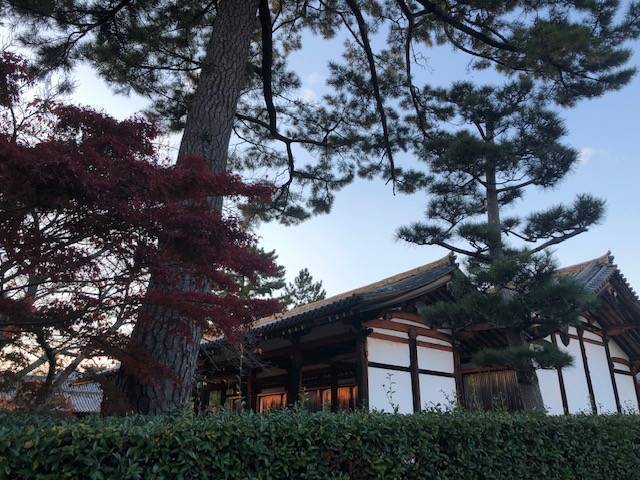 法隆寺大宝蔵院 の周辺スポット・アクセス・口コミ - Prism