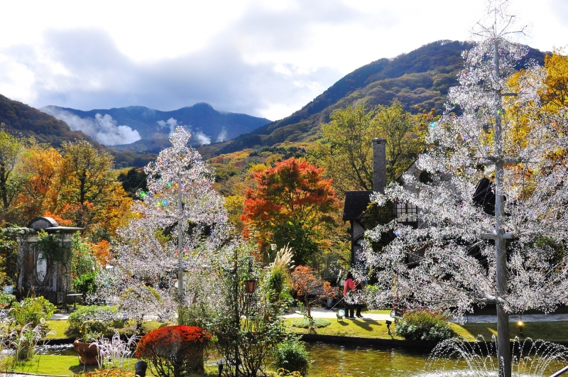 女子旅におすすめのインスタ映えスポット！ 箱根でフォトジェニックな写真を撮ろう箱根ナビ