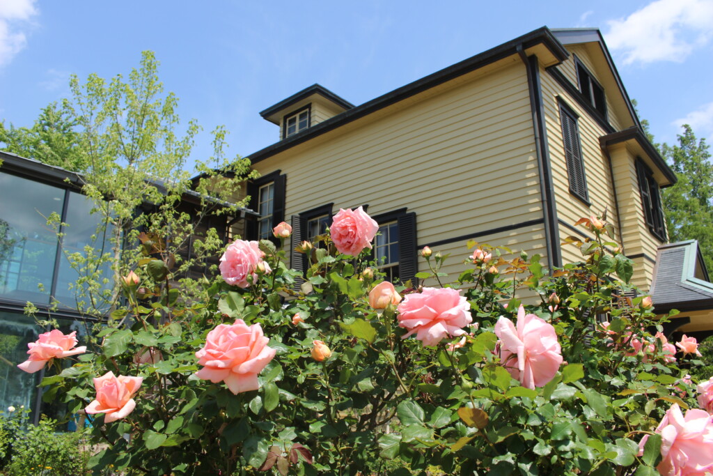 ブラフガーデンカフェBluff Garden Cafe-